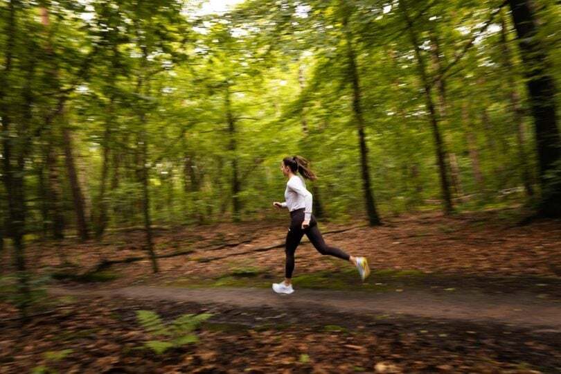 hardloopster athlete eveline saalberg in hardlopend in bos